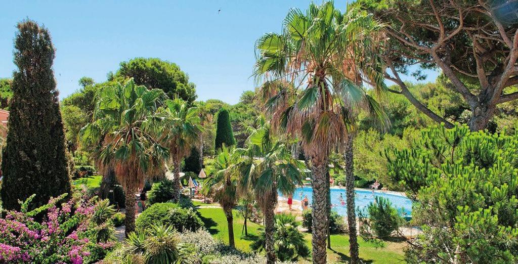 Aparthotel La badine Hyères Esterno foto
